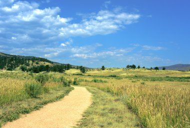 kırsal kırsal yolundaki yuvarlak çakıl