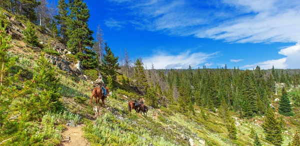 Trail riding in the Rocky Mountains — Stock Photo, Image