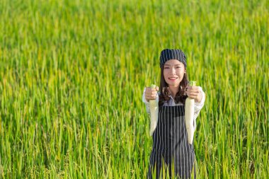 Şef organik çiftlikten taze ürün topluyor.