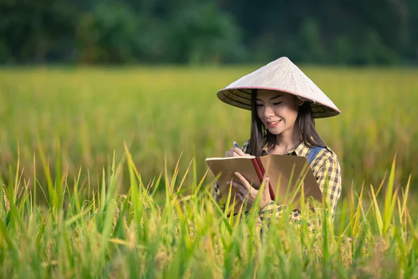 Happy Asian Female Write Notes Rice Fields — Stock Fotó