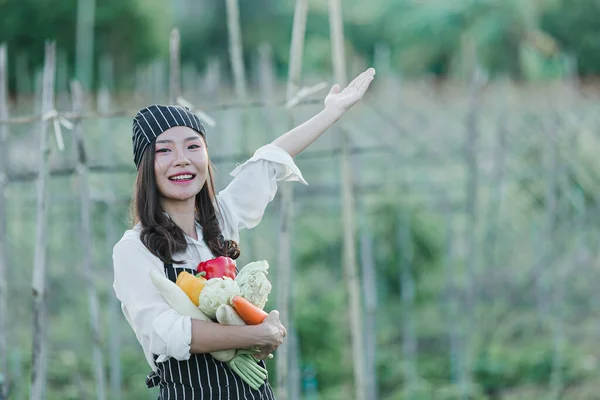 Chef Harvesting Fresh Produce Organic Farm — ストック写真