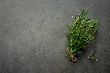 Biberiye bitkileri karanlık zeminde.