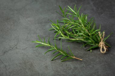Rosemary plants place on dark floor