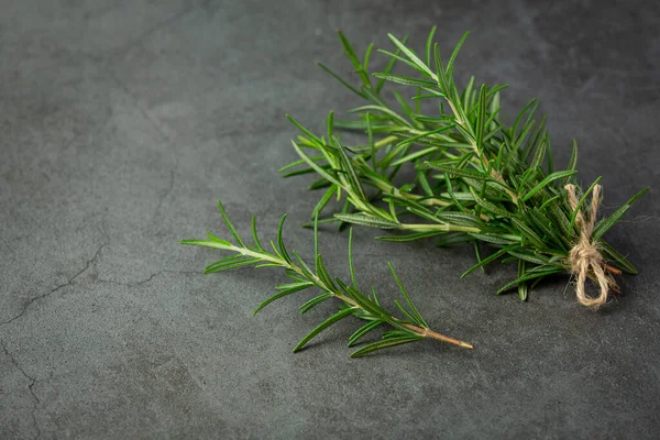 Rosemary Plants Place Dark Floor — Zdjęcie stockowe