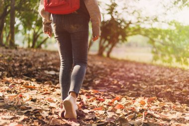 Gezgin ormanda yürüyor..