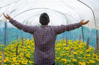 Bahçıvan Marigold çiçeğini tarlada tutuyor.
