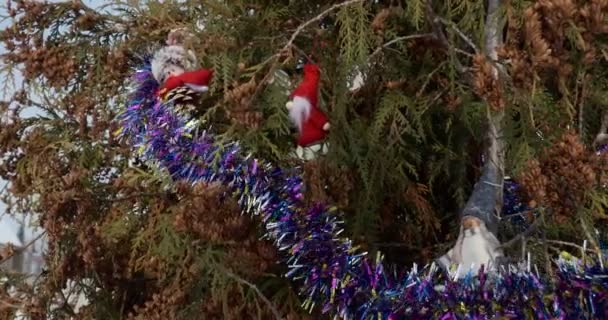 Tatil Sezonu Noel Yeni Yıl Noel Ağacında Oyuncaklar Yakın Çekim — Stok video
