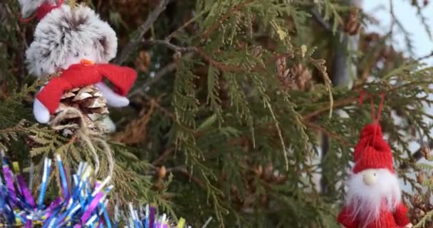 Праздничный Сезон Рождество Новый Год Игрушки Елке Крупный План — стоковое видео