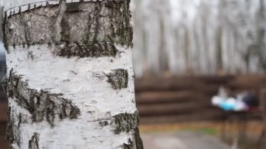 Barbekü. İnsanlar evin yakınındaki kömürde et kızartıyorlar. Odaklanamıyorum..