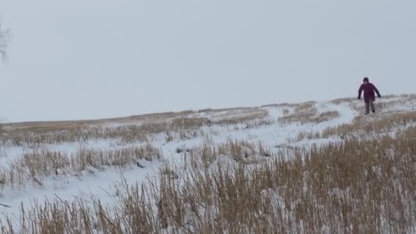 Stagioni Inverno Ragazza Perde Equilibrio Scende Una Collina Innevata Siberia — Video Stock