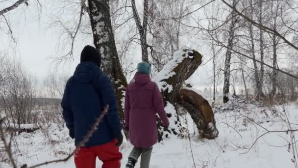 Temporadas Noviembre Hombre Una Mujer Caminan Través Bosque Cubierto Nieve — Vídeo de stock