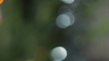 Tatil sezonu. Noel ağacının dalındaki Noel oyuncağı şöminenin arka planında yanıp sönen alevlerin üzerinde. Bokeh. Kamera hareket ediyor..