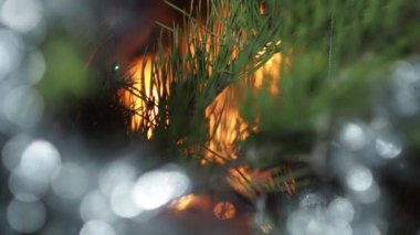 Şenlik arka planı. Noel oyuncaklarının renkli benekleri ve fenerleri ve Noel ağacındaki süslemeler şömine ateşinin arka planında. Odaklanamıyorum.