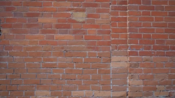 Rote Backsteinmauer Aus Alten Ziegeln Hintergrund Die Kamera Bewegt Sich — Stockvideo