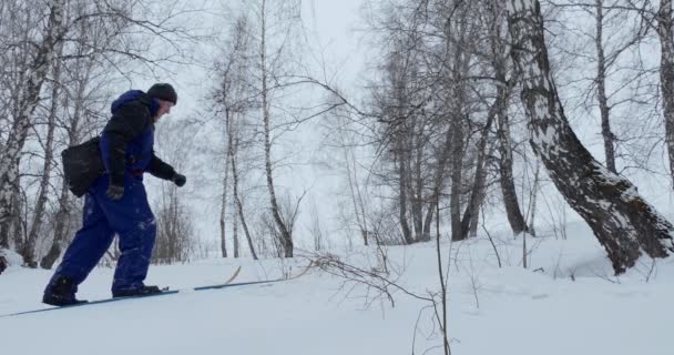 Skidor Skidåkare Tar Sig Skidorna Skogen Och Ramlar Snön Med — Stockvideo