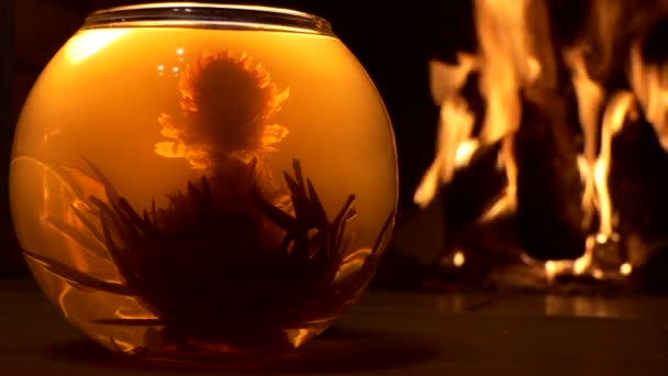 アジア茶 背景光の暖炉の炎を背景に球状のガラス容器で淹れる中国茶の花 — ストック動画