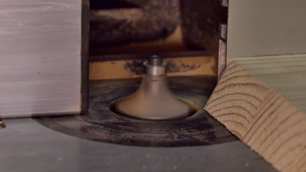 Home Workshop Master Processes Wooden Billet Woodworking Milling Machine Close — Stock Video