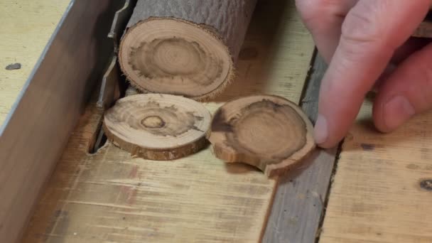 Dřevoobráběcí Dílna Mistr Poskládal Dřevěné Kruhy Vytesané Tlusté Větve Aby — Stock video