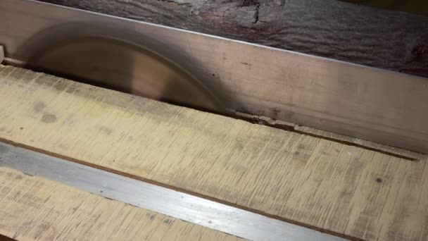 Warsztaty Obróbka Drewna Przecinanie Krawędzi Drewnianej Kęsy Piłą Tarczową Zbliżenie — Wideo stockowe