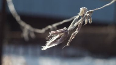 Soyutlama. Bahçedeki gerilmiş bir tele bağlanmış bir kumaş parçası rüzgarda sallanıyor, bokeh.