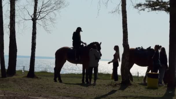 馬に乗って 海岸に沿ってそれに乗るために馬に子供を持ち上げる人々のシルエット — ストック動画