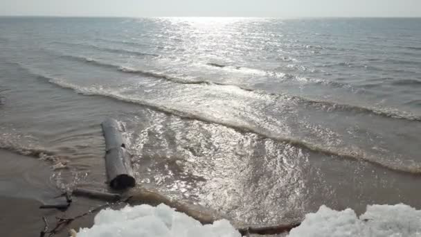 Zwolniony Ruch Otoczenie Fale Surfingowe Kołyszą Kłodę Wybrzeżu Rzeki Pobliżu — Wideo stockowe