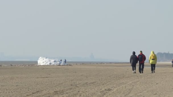 Берег Весна Люди Ходят Песчаному Пляжу Мимо Небольшого Айсберга Берегу — стоковое видео