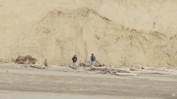 観光客は粘土の崖の近くのOb川 シベリア の砂州に沿って歩く — ストック動画