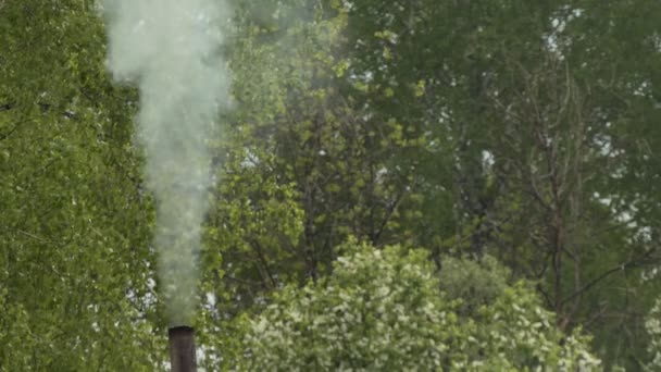 Fumaça Sai Tubo Aço Contra Fundo Flores Cerejeira Estações Primavera — Vídeo de Stock