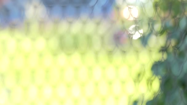 Анотація Фон Поза Фокусом Яскраве Сонячне Світло Падає Металеву Сітку — стокове відео