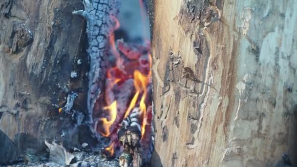 Şenlik Ateşi Ateş Kızılderili Fin Mumu Şeklinde Üst Üste Dizilmiş — Stok video