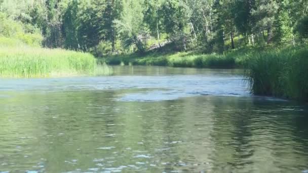 Taiga Kouzelná Řeka Krásná Řeka Teče Mezi Lesy Skalami Divokém — Stock video