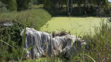 Çevre, ekoloji. Küçük geçici bir baraj su akışını engeller ve su deposunu bataklığa çevirir. Sibirya.