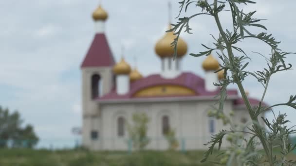 Gren Malört Svänger Mot Bakgrunden Liten Vacker Kyrka Bokeh Sibirien — Stockvideo