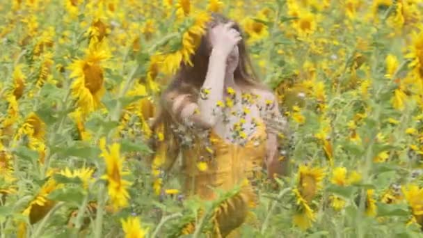 Ein Schönes Mädchen Geht Durch Ein Blühendes Sonnenblumenfeld Und Justiert — Stockvideo