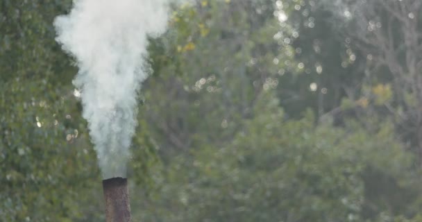 Толстый Дым Выходящий Стальной Трубы Уносит Ветер Фоне Зеленой Листвы — стоковое видео
