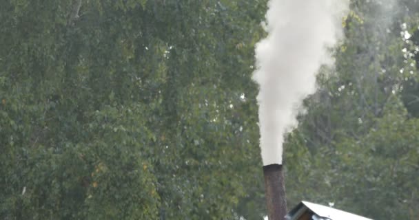 Humo Grueso Que Sale Una Tubería Acero Arrastrado Por Viento — Vídeos de Stock