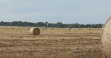 Kırsal alan, ulaşım. Motorlu taşıma aracı, üzerinde bir sürü saman bulunan bir tarlanın yanındaki tepeden geçiyor. Sibirya.