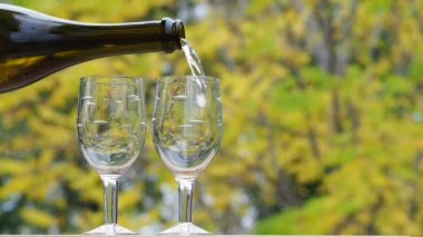 Bir insan, bir sonbahar ağacının sarı yapraklarına karşı duran bir şişeden bardaklara su döker. Yakın plan..