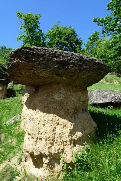 지구 기둥에 불규칙적인 바위 — 스톡 사진
