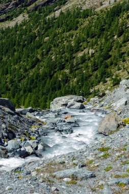 Evancon dere ve Irmak kolları