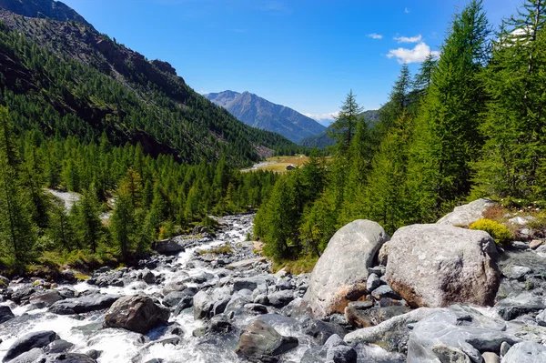 Eaux d'amont du ruisseau Evancon — Photo