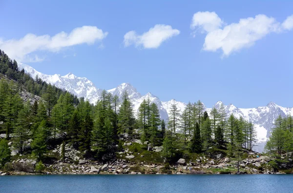 Glacial lake Arpy — Stock Photo, Image