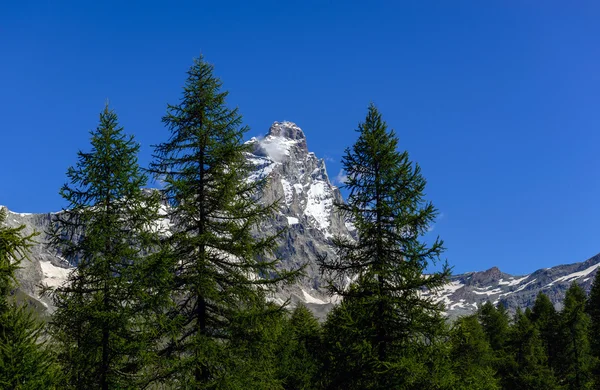 Matterhorn widziany z lasu — Zdjęcie stockowe