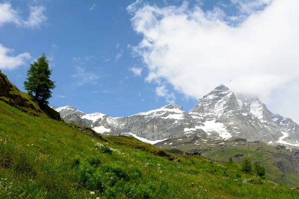 Paesaggio montano Foto Stock Royalty Free