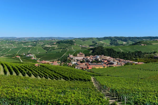 Miasto z Barolo w winnic Langhe — Zdjęcie stockowe