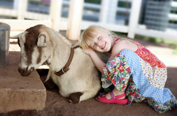 Niña sonriente abrazando a la cabra — Foto de Stock