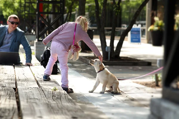 Chica feliz jugando con su perro en la ciudad. Padre trabajando wih ordenador portátil detrás — Foto de Stock