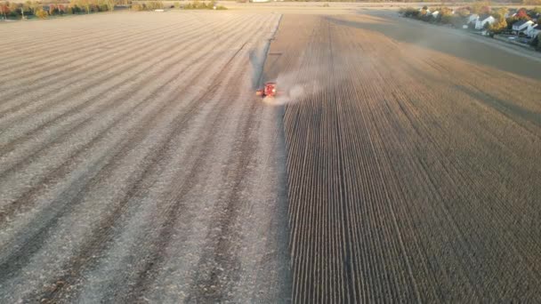 Getreideernte Herbst Luftaufnahme Drohnenaufnahmen Von Der Maisernte Erntemaschine Bei Sonnenuntergang — Stockvideo