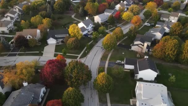 Overhead aerial view of colorful autumn trees residential houses and yards along suburban street in Chicago area. Midwest USA. 4K — Stock Footage Overhead Aerial View Colorful Autumn Trees Residential Houses Yards Suburban Royalty Free Stock Footage
